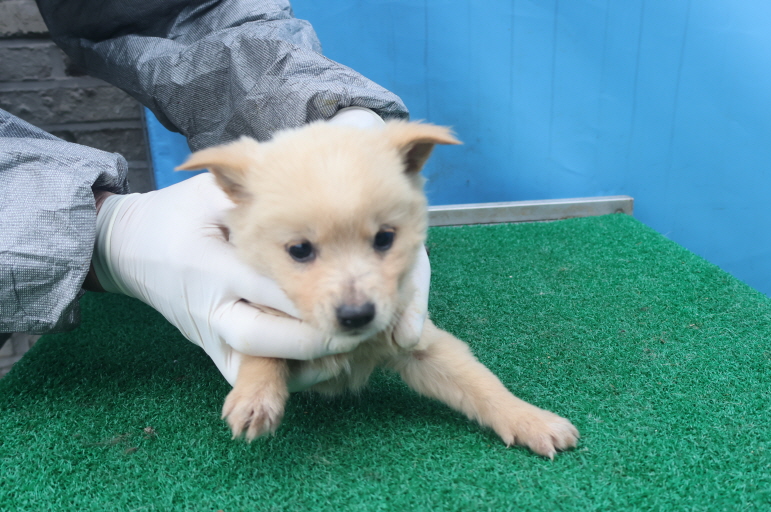 제주 동물보호센터_450650202403641